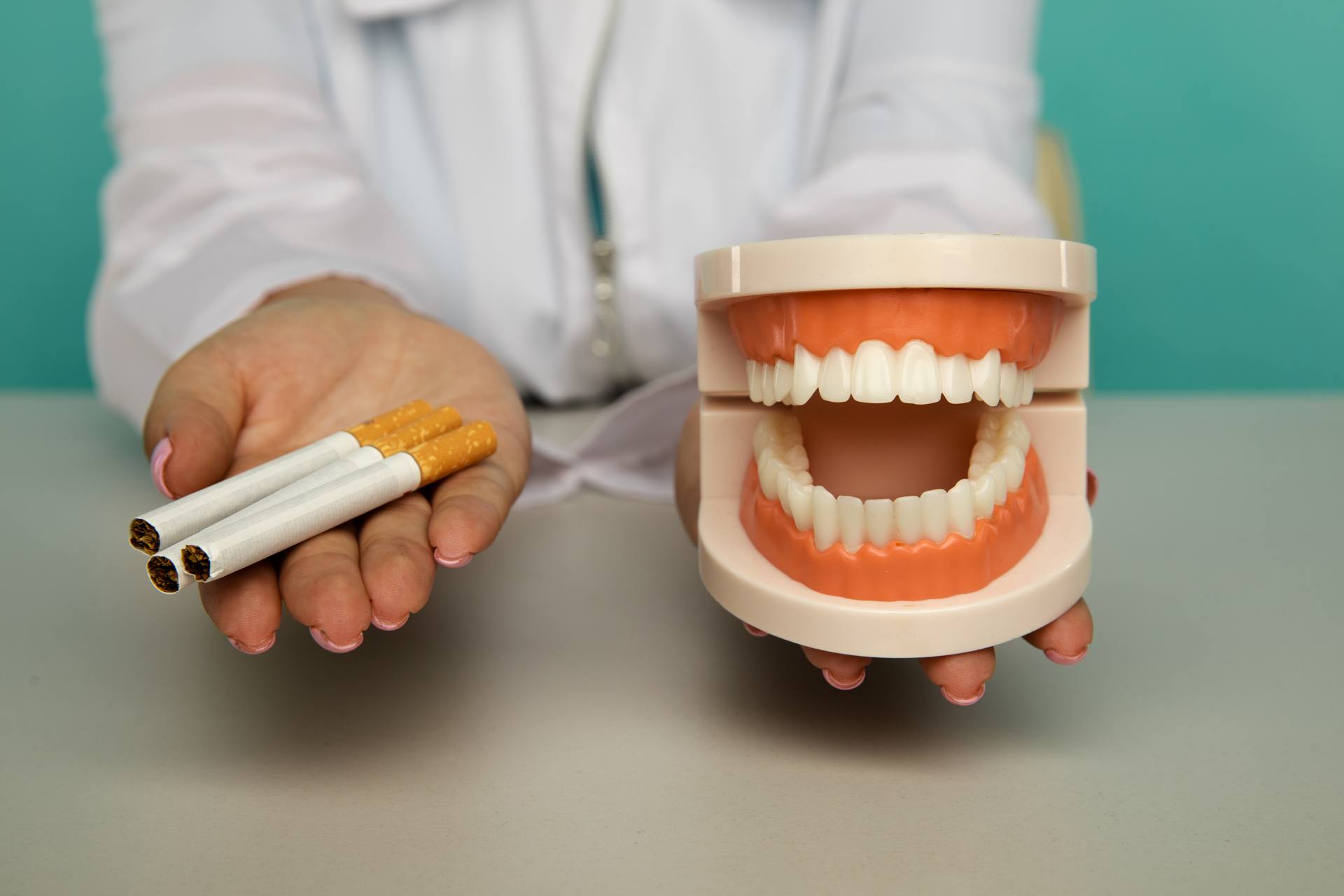 12 Dentist shows cigarettes and jaw model as concept of choosing between smoking and good teeth